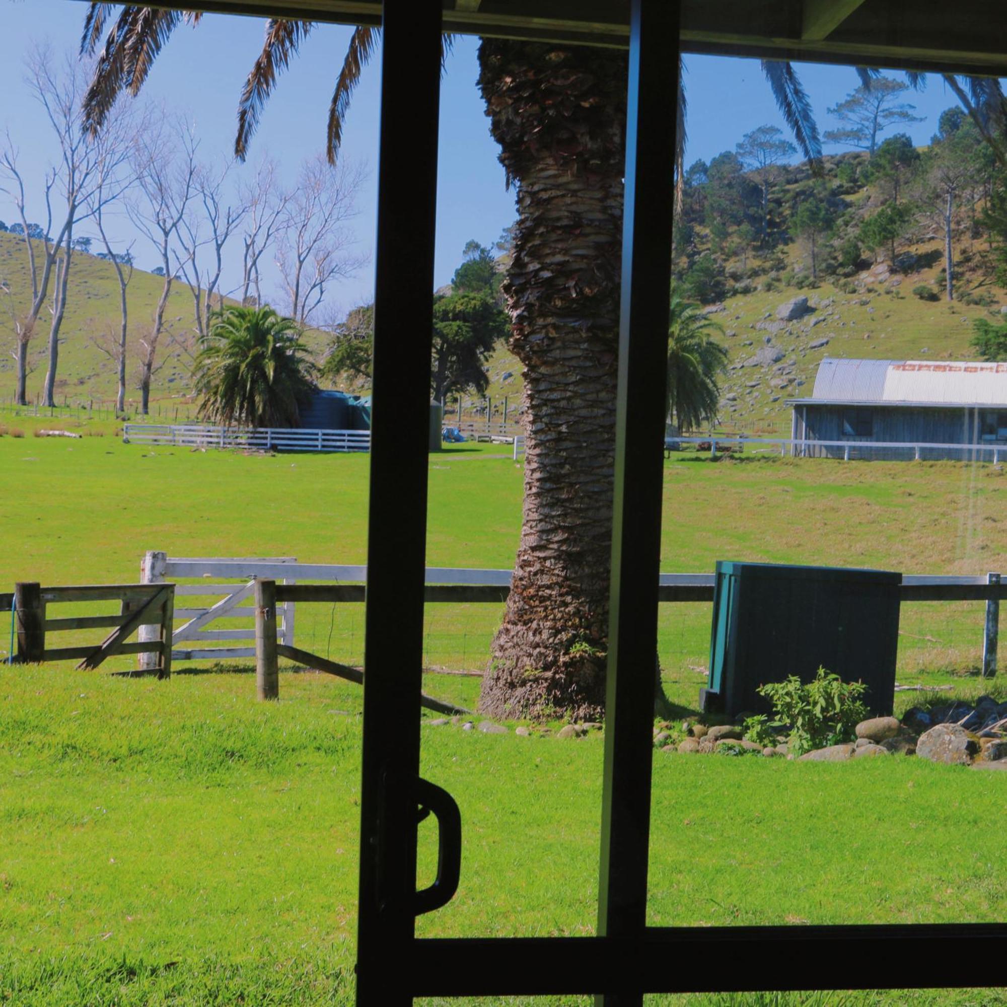 Slipper Island Resort Pauanui Extérieur photo