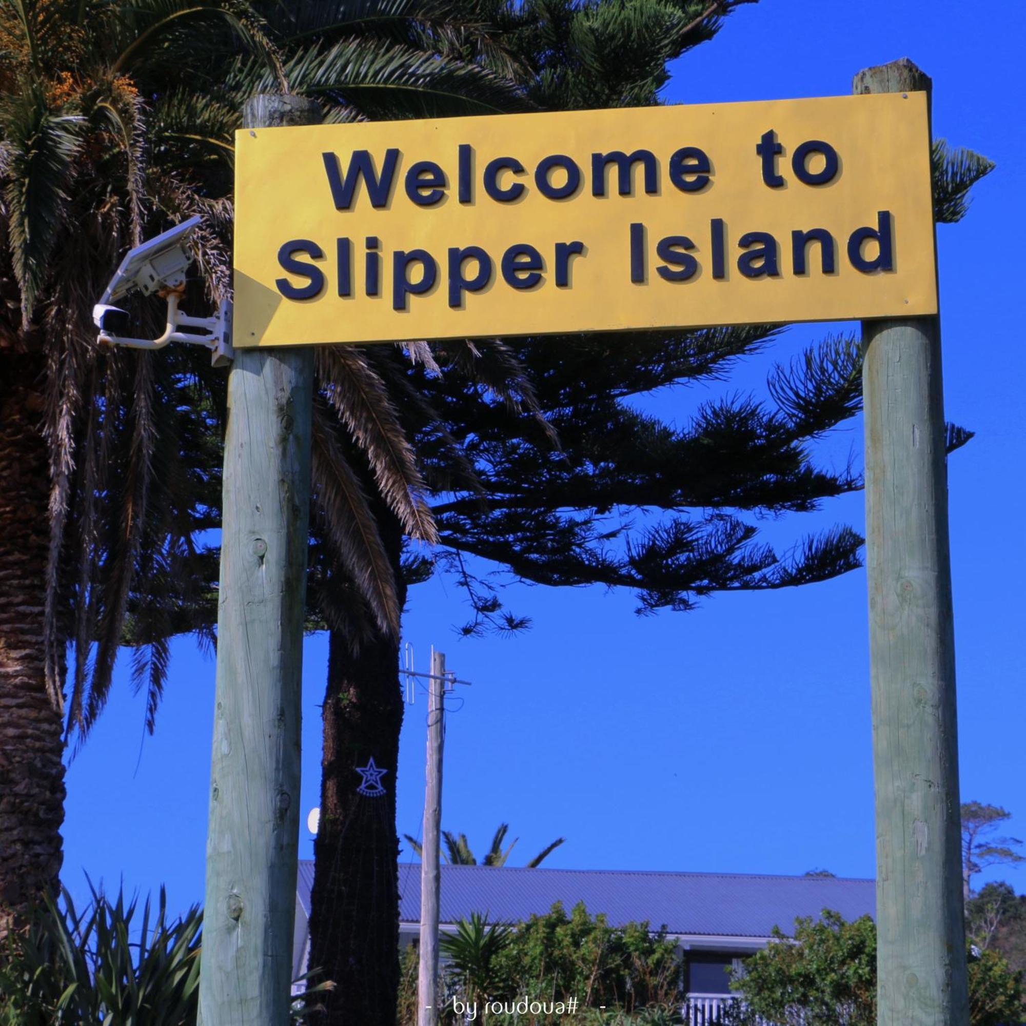 Slipper Island Resort Pauanui Extérieur photo